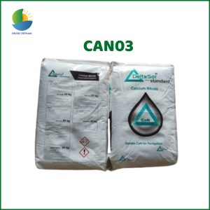 can03
