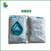 kn03