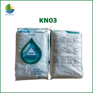 kn03
