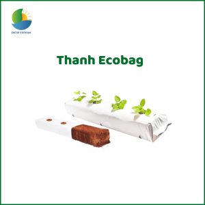 thanh-ecobag