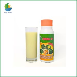 Phân Bón Orga K – Bón lá tạo ngọt