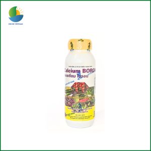Calcium-Boron