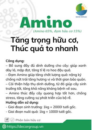 animo-2