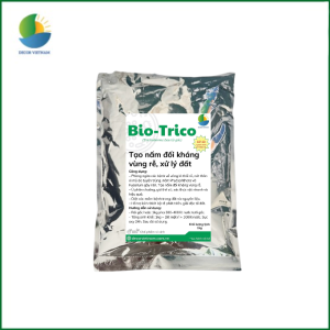 BIO-TRICO (Trichoderma bào tử gốc) – Tạo nấm đối kháng vùng rễ